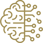 areas de direito_r19_c1